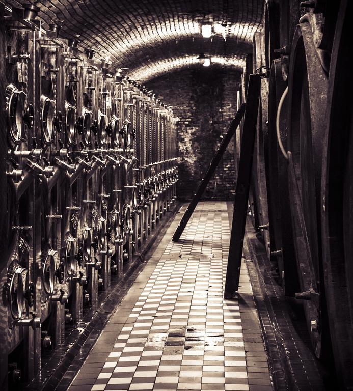 Penzion Vino Hruska Blatnička Exteriör bild